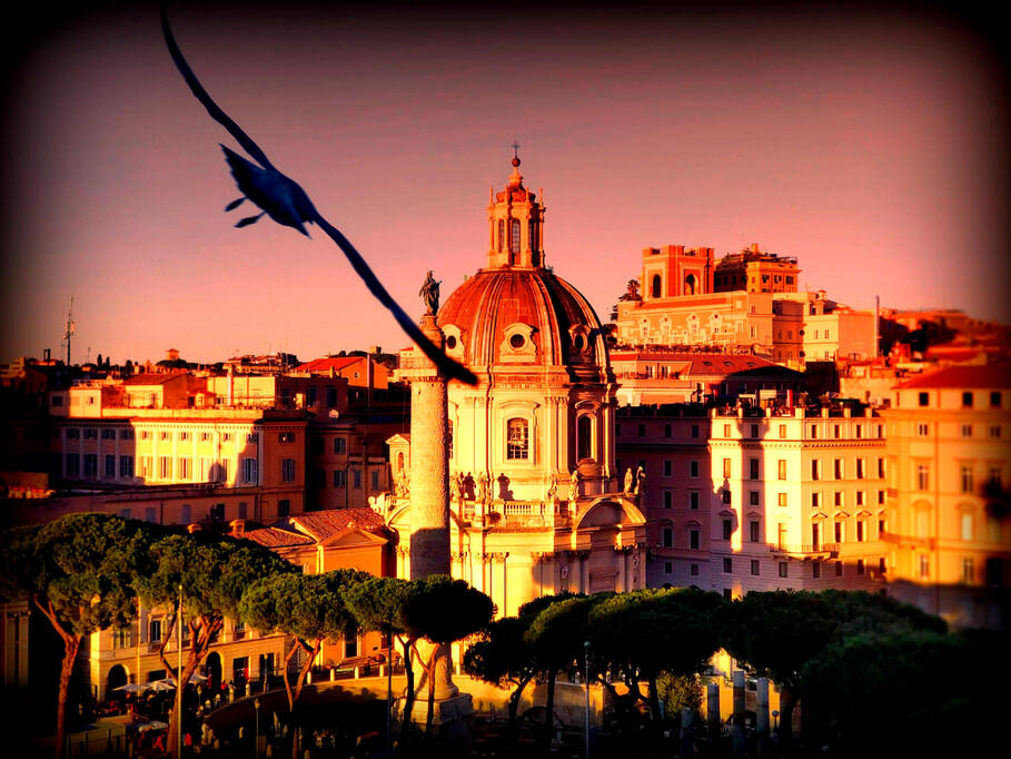 Rome view from where the seagull flew