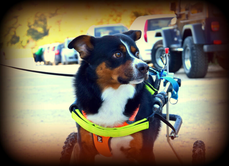 Hero Brandon saved by hero Giulia Vitaliti