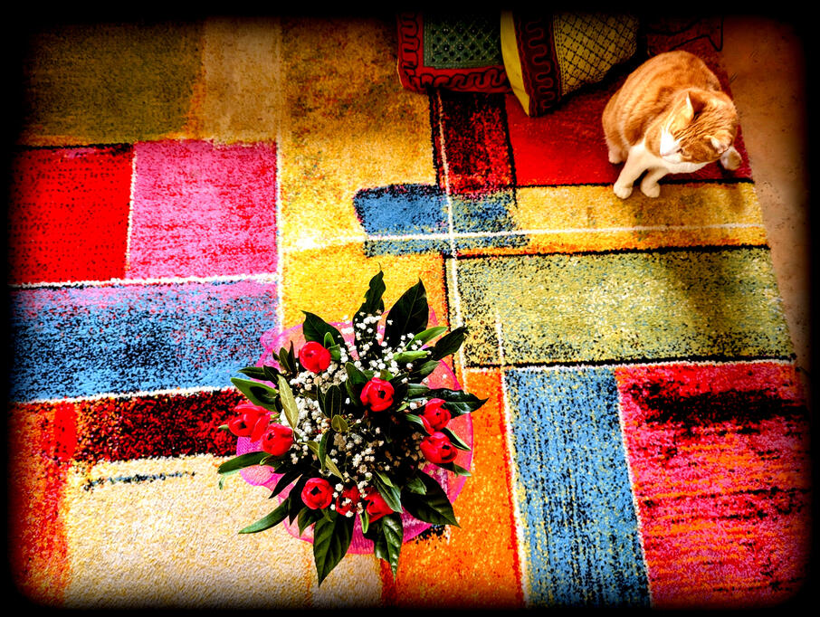 Not sure who they're for