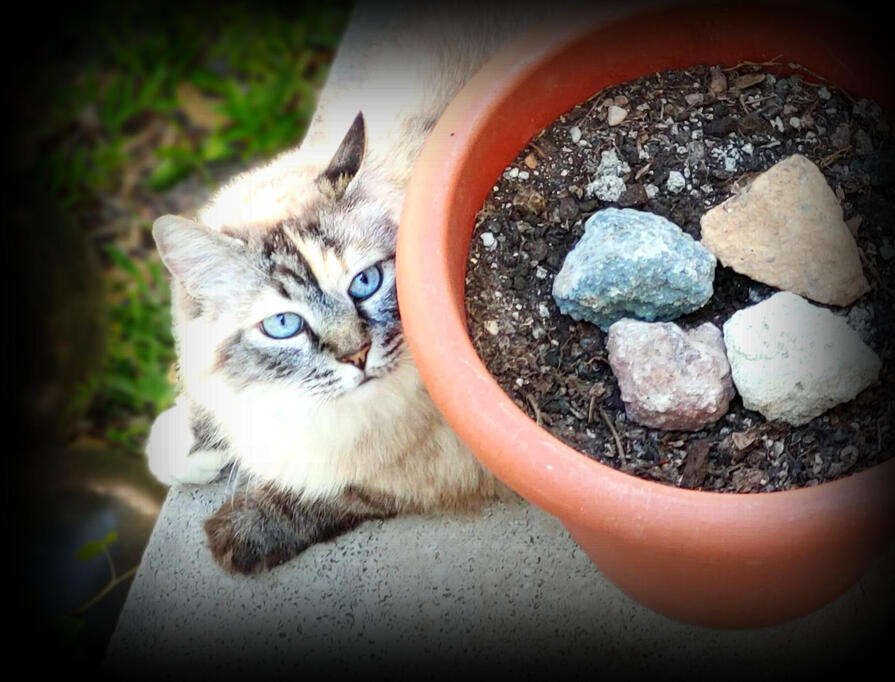 Baby's got blue eyes