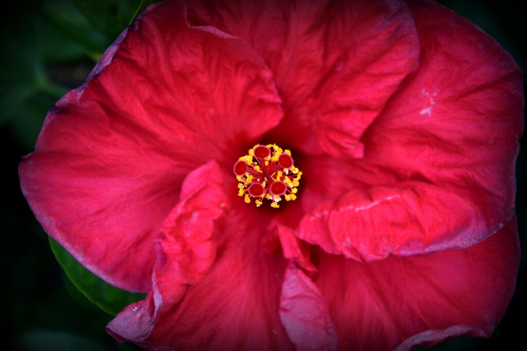 Even better than the real thing