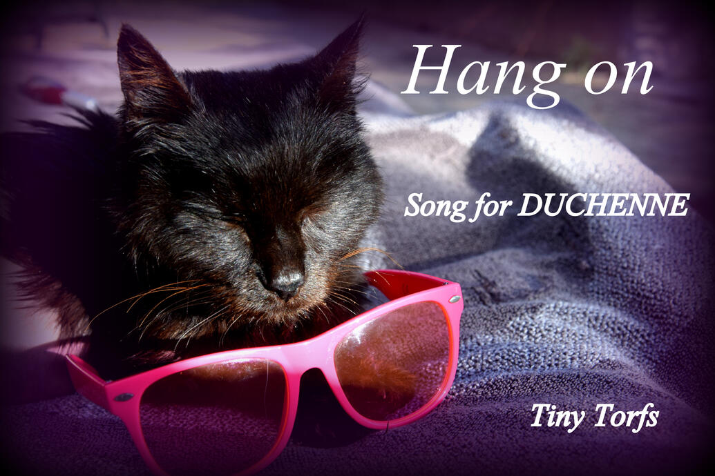 Hang on:A song for Duchenne