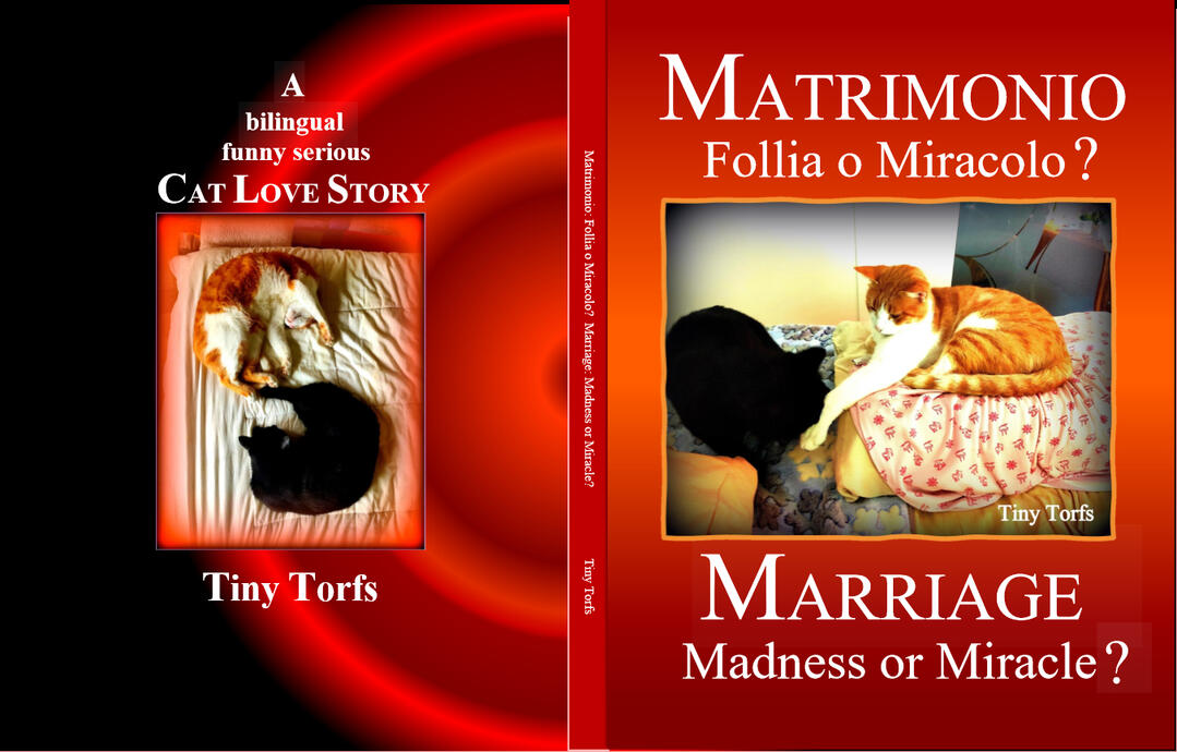 Italian-English Photo CatLoveStory A4