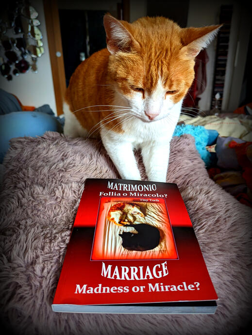 Black paper only in Rome